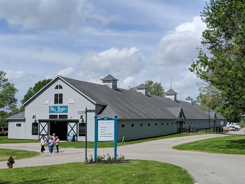 The Children's Barn And Mini Horse Encounters