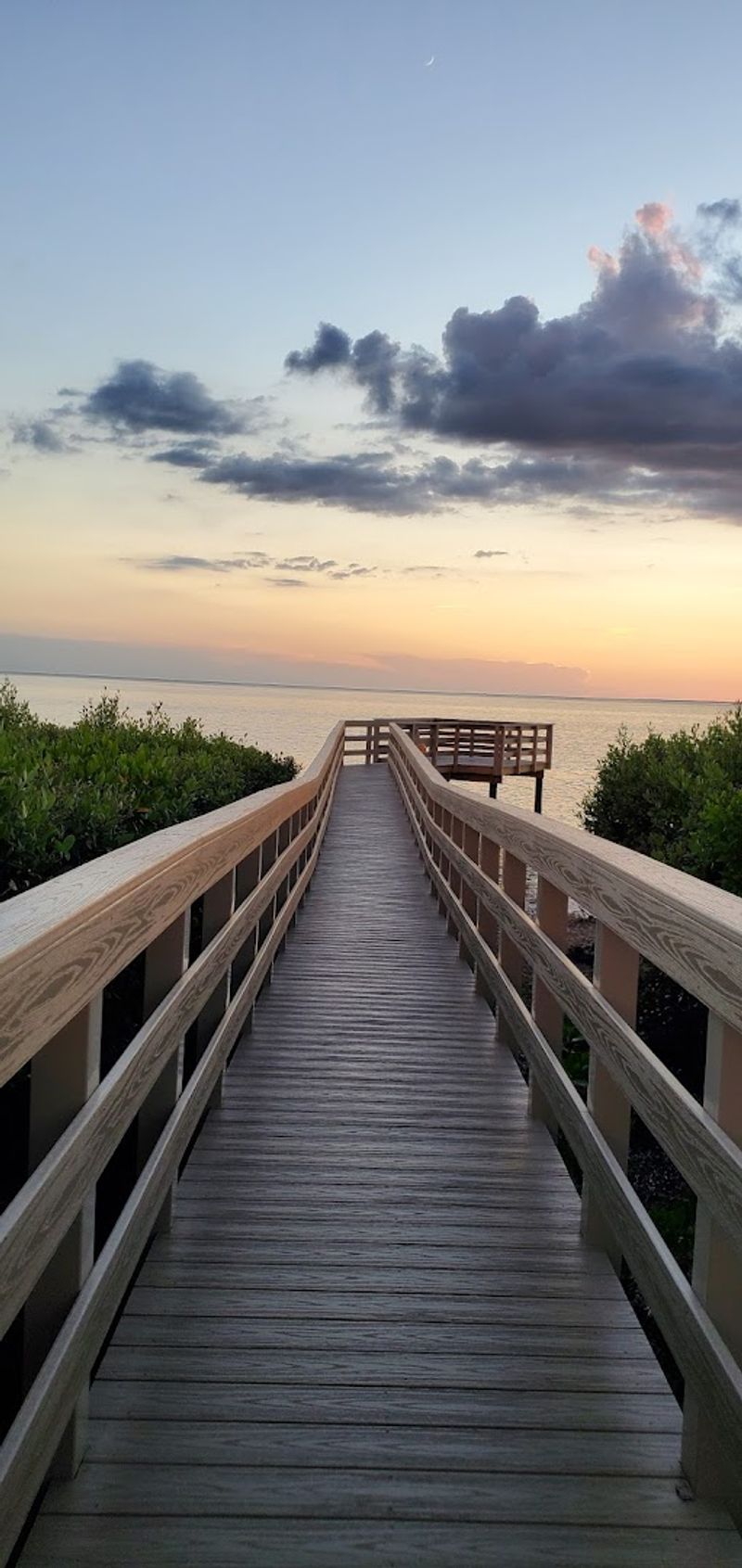 Tarpon Springs
