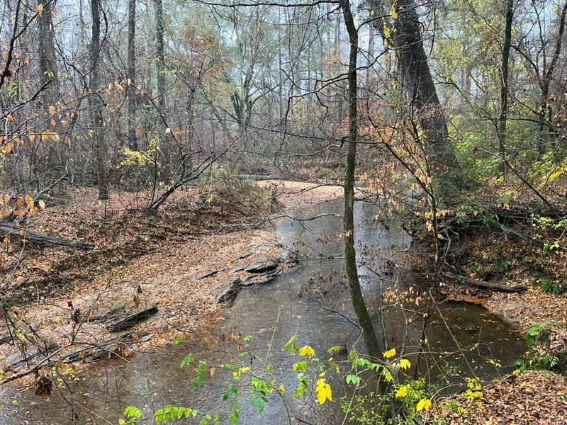 Dog-Friendly Trails For Furry Companions