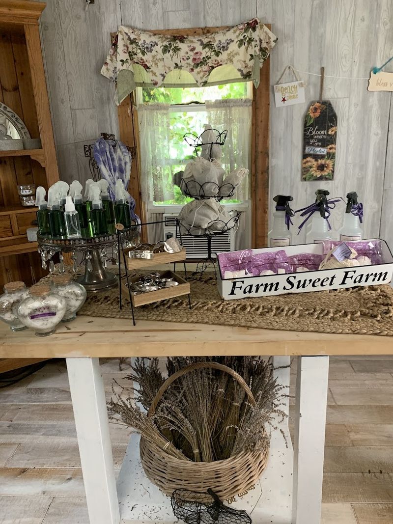 The Gift Cottage Filled With Lavender Inspired Finds