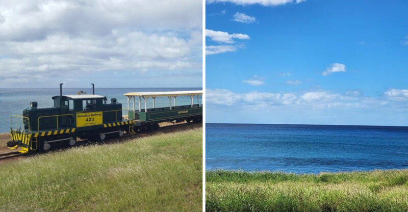 You Can Still Ride A Historic Train In Hawaii And The Views Are Absolutely Breathtaking