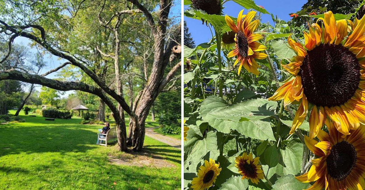 You Could Easily Spend An Entire Day Wandering This Beautiful Massachusetts Garden - Decor Hint