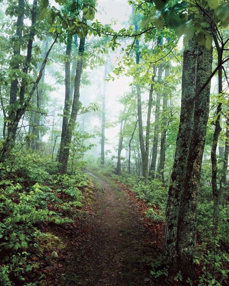 Shenandoah National Park