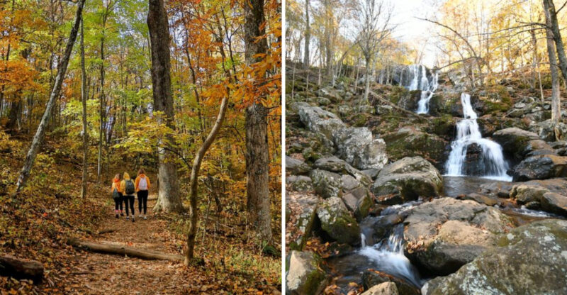 You Do Not Need Hiking Experience To Love These 9 Scenic Virginia Trails