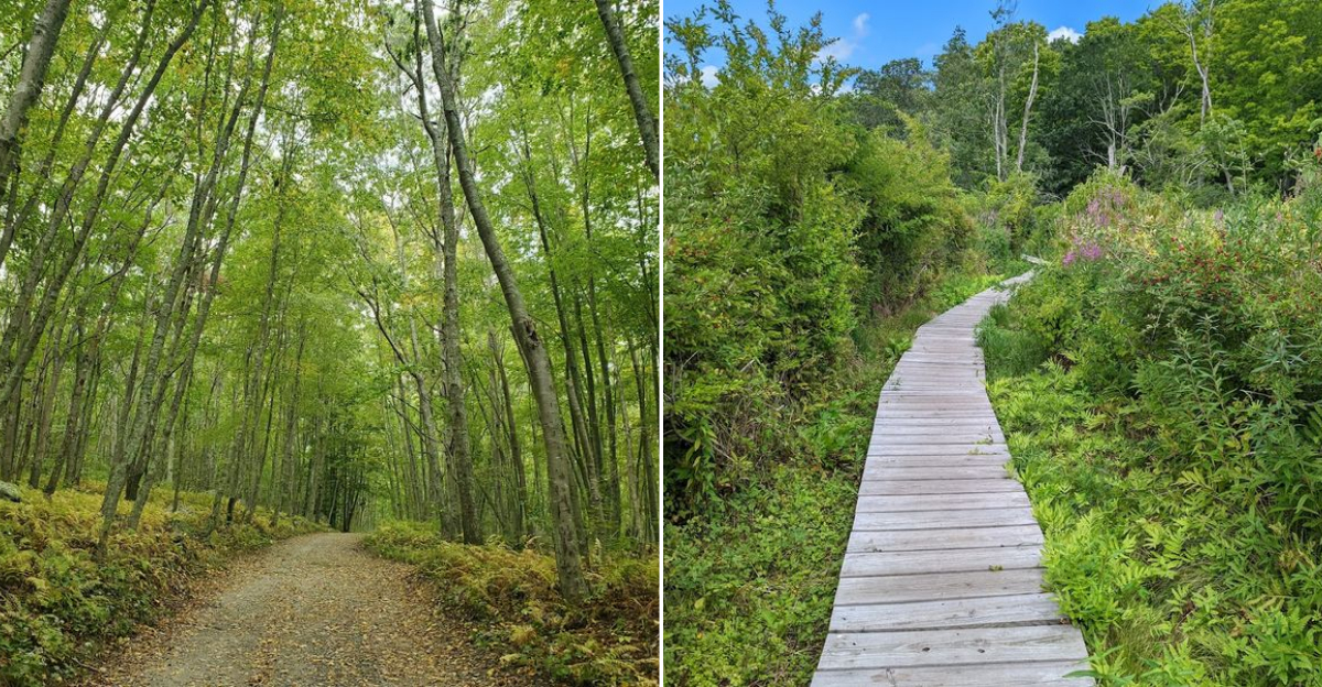 You Dont Have To Be An Expert Hiker To Enjoy These 8 Easy Connecticut Trails Under 5 Miles - Decor Hint