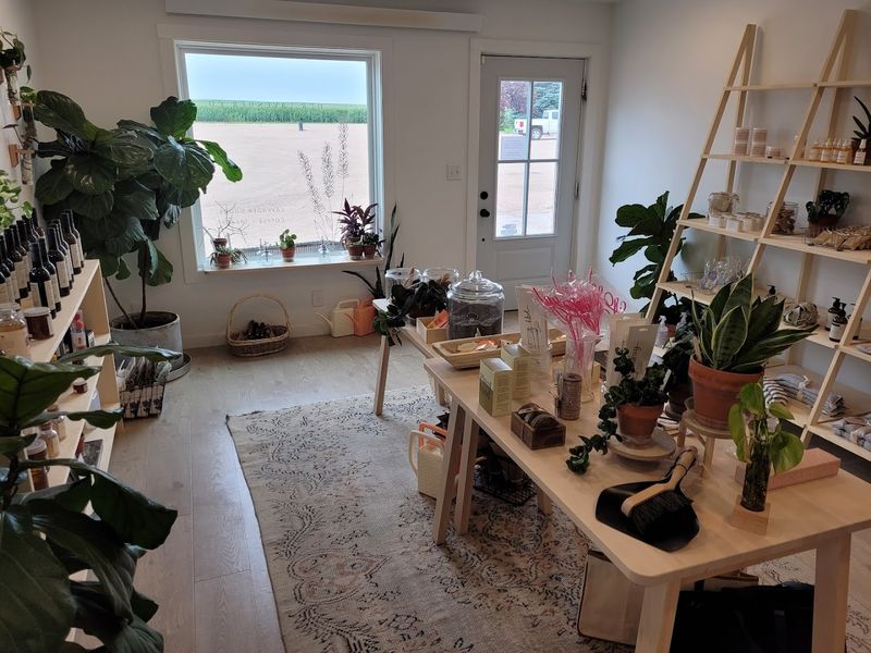 The Farm Store And Its Handcrafted Lavender Goods