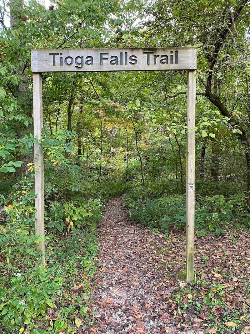 Where The Trail Begins