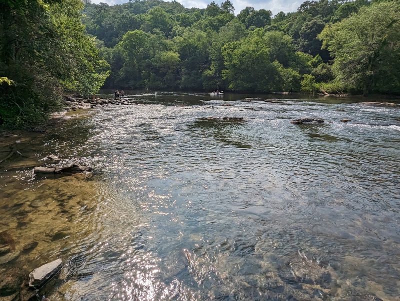 The Toccoa River: A Natural Playground Right Outside Town