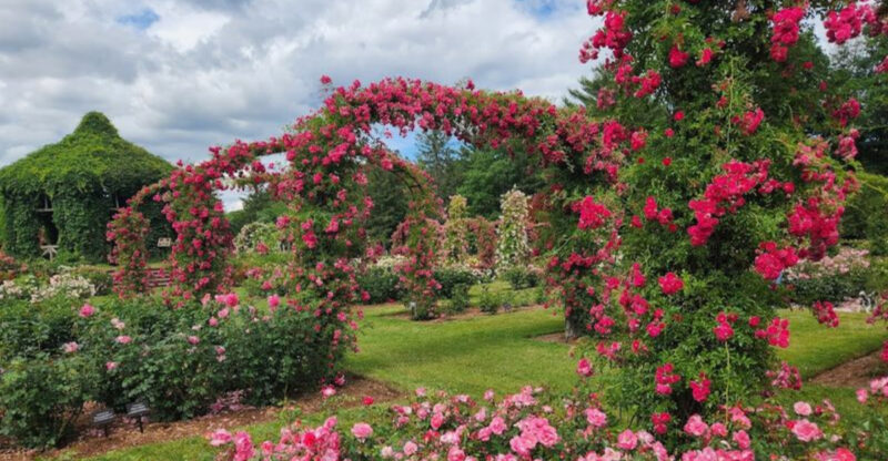 You’ll Never Forget Your First Visit To This Secret Botanical Garden Hiding In Connecticut