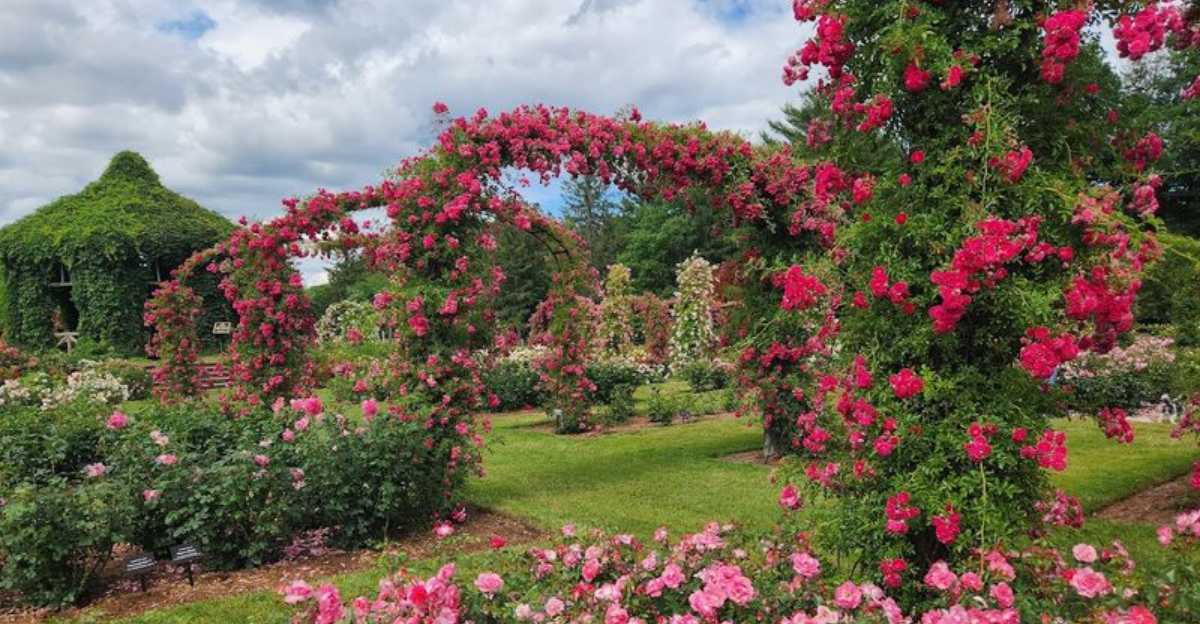 Youll Never Forget Your First Visit To This Secret Botanical Garden Hiding In Connecticut - Decor Hint