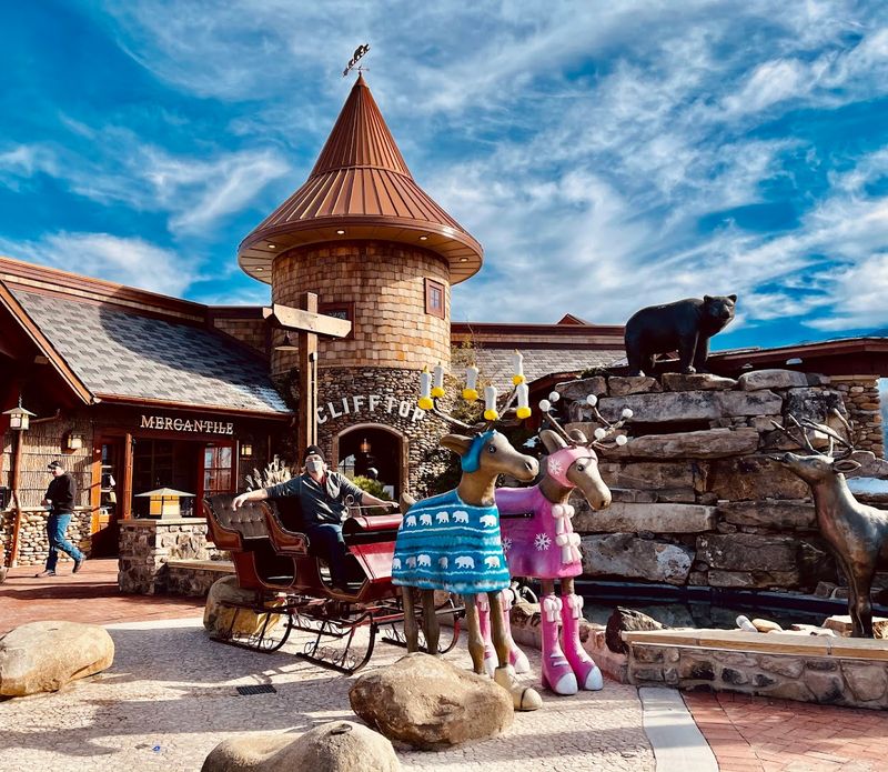Food, Shops, And Village Life