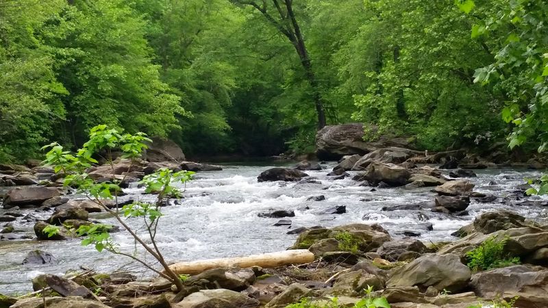 Chestatee River - Dahlonega, GA
