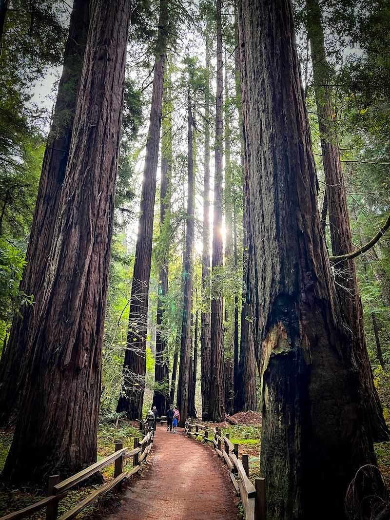 Muir Woods National Monument