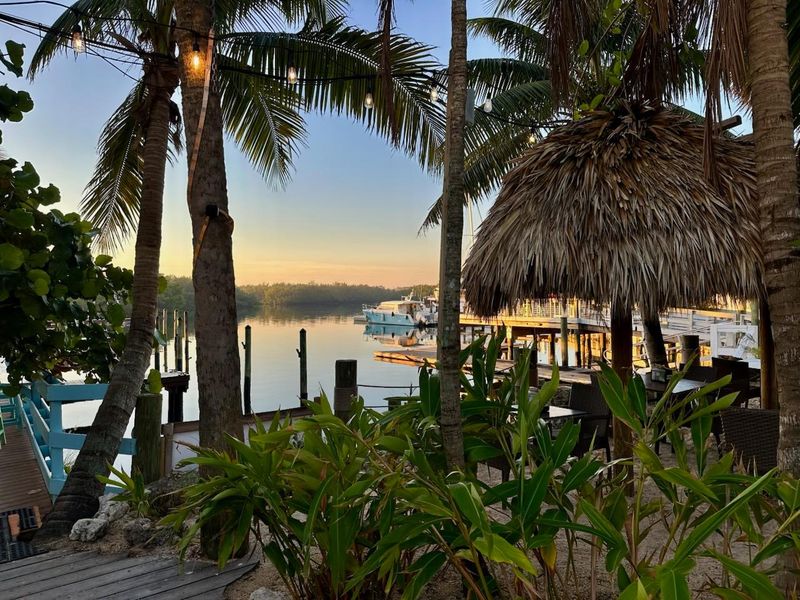 Patrona Coastal Cafe, St. Petersburg