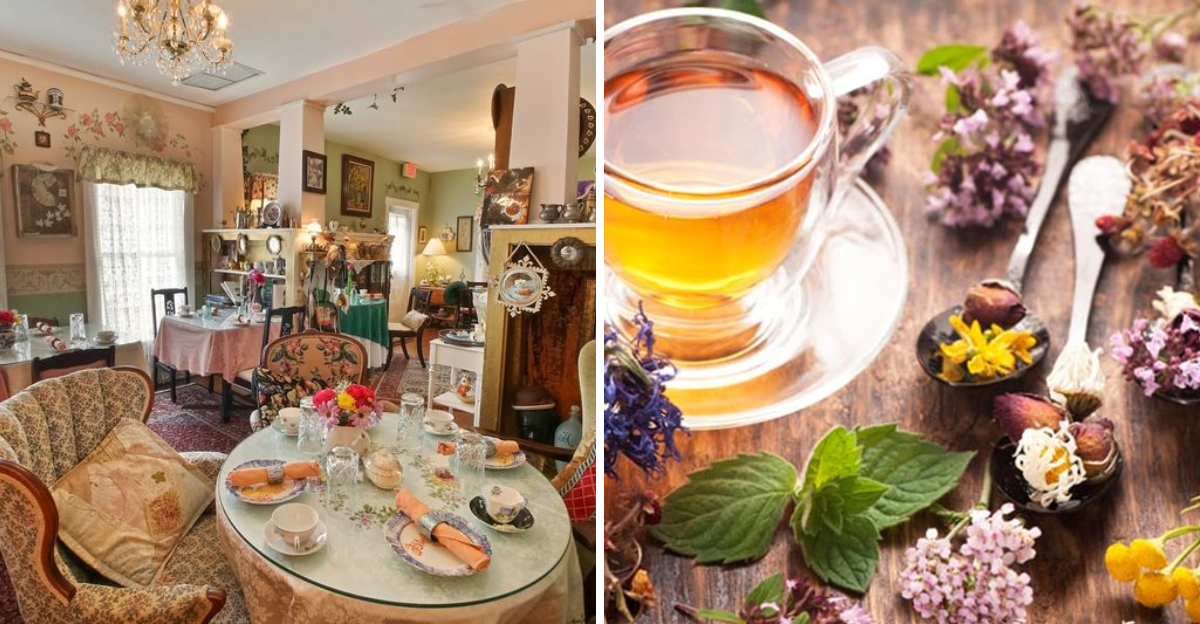 10 Charming Florida Tea Houses Where Every Cup Feels Like A Little Escape - Decor Hint