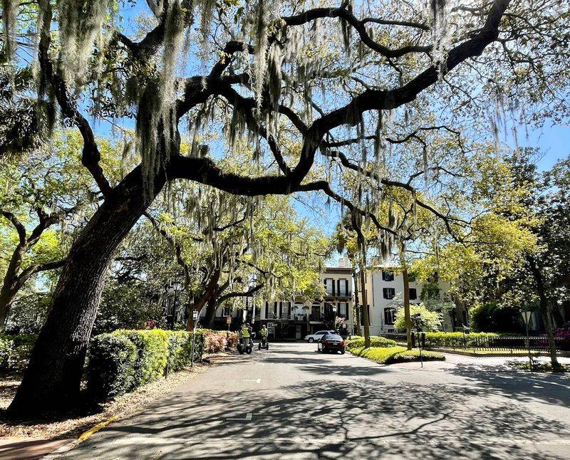 Bull Street - Savannah