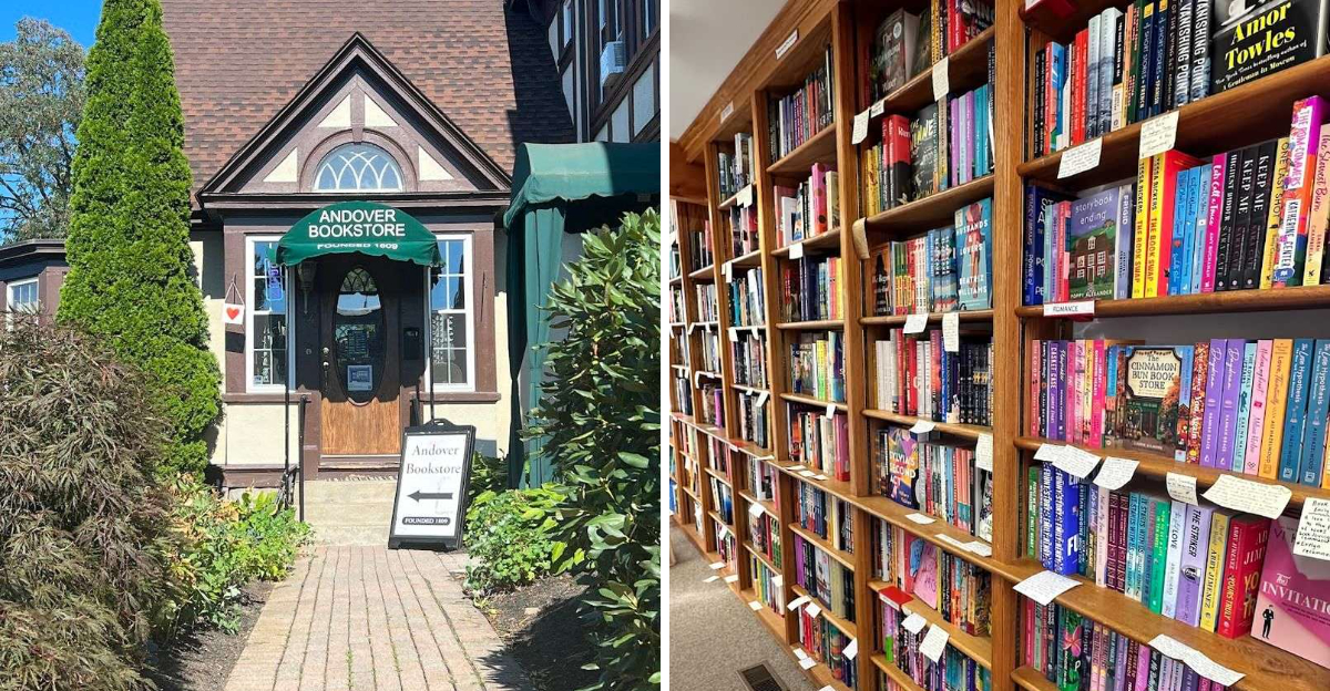 10 Historic Massachusetts Bookstores That Prove Real Bookshops Never Go Out Of Style - Decor Hint