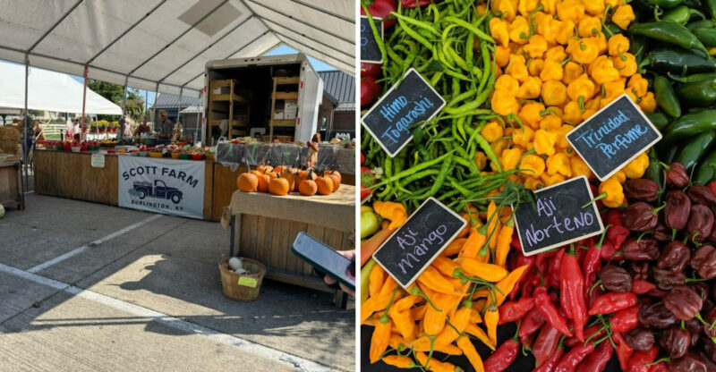 10 Kentucky Farmers Markets That Are Worth Setting Your Alarm For This Summer
