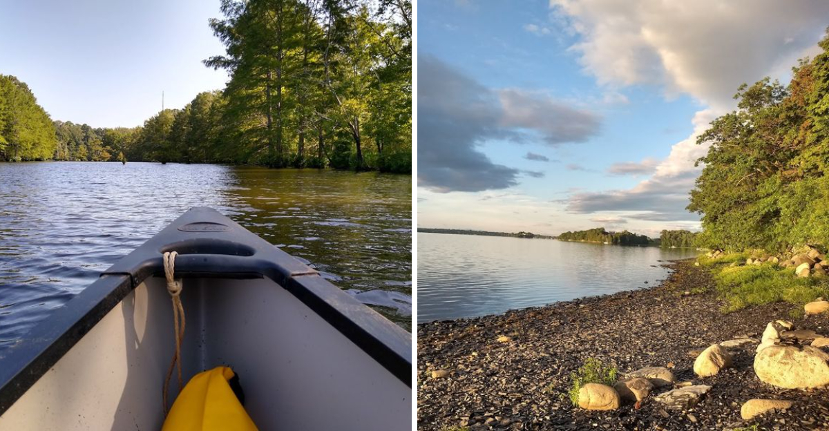 10 Louisiana State Parks That Make The Outdoors Feel Extra Special - Decor Hint