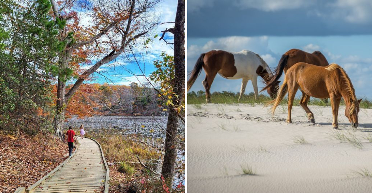 10 Maryland Day Trips So Beautiful Youll Forget Theyre Surprisingly Budget Friendly - Decor Hint