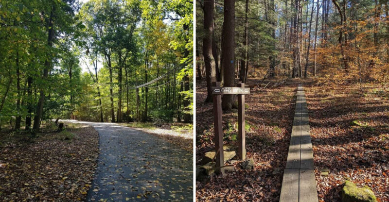 10 New York Hikes Where Silence And Peace Are A Part Of The Appeal
