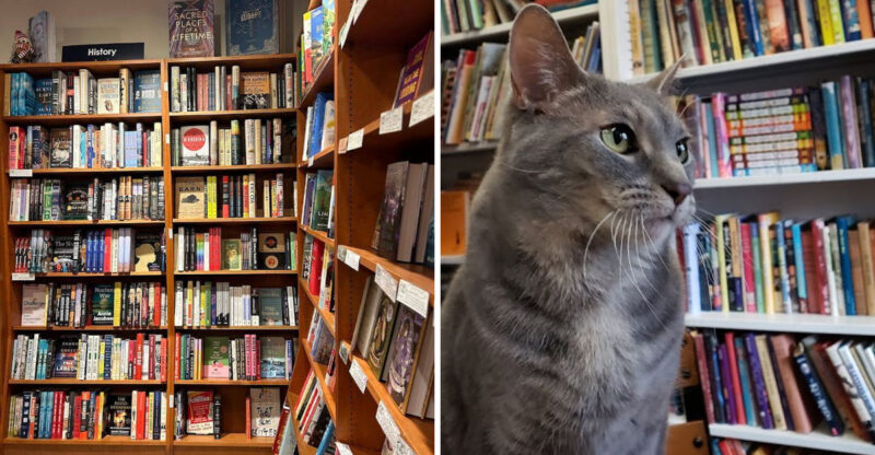 10 Virginia Bookstores That Make Readers Want To Linger A Little Longer