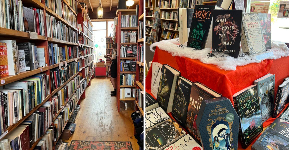 10 Wisconsin Bookstores Where Every Shelf Feels Like A New Discovery - Decor Hint