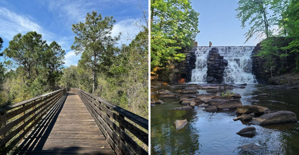 11 Alabama Hiking Trails Ranked From Beginner Friendly To Seriously Epic - Decor Hint