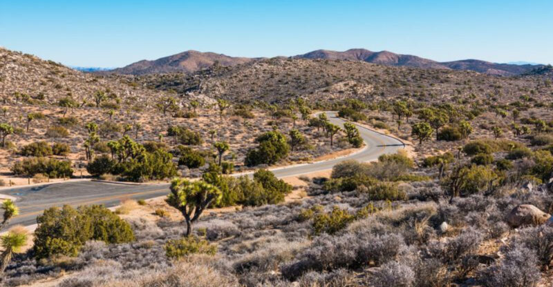 11 Epic California Road Trips That Belong On Your Summer Bucket List This Year