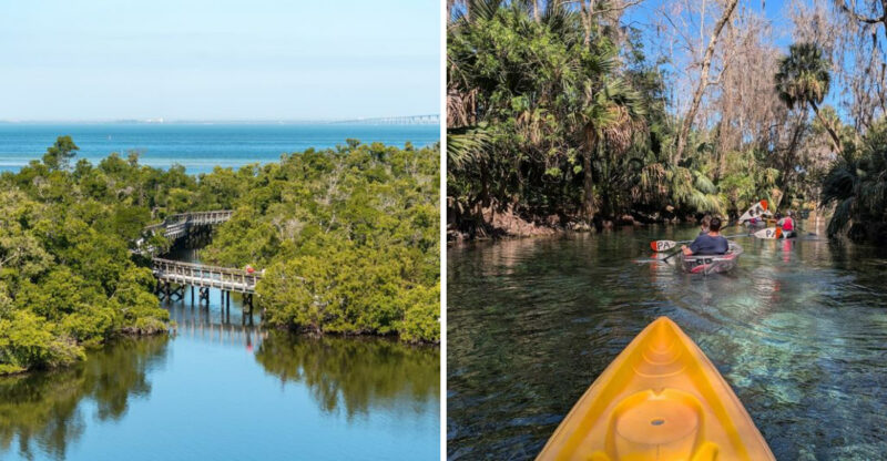 11 Florida Paddleboarding Spots Where Calm Water Meets Stunning Scenery