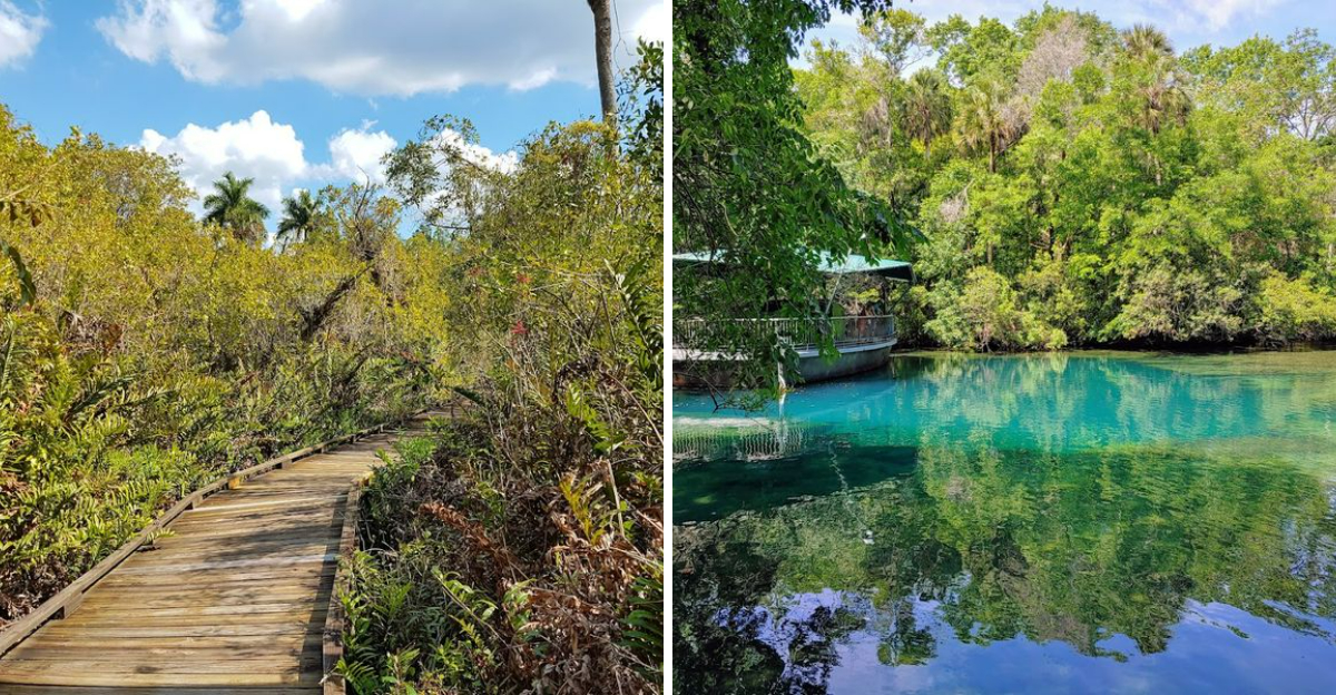 11 Florida State Parks That Somehow Still Fly Under The Radar 2 - Decor Hint