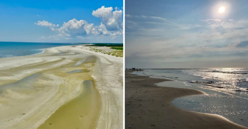 11 Georgia Coastal Beaches Where Seashell Hunters Strike Gold