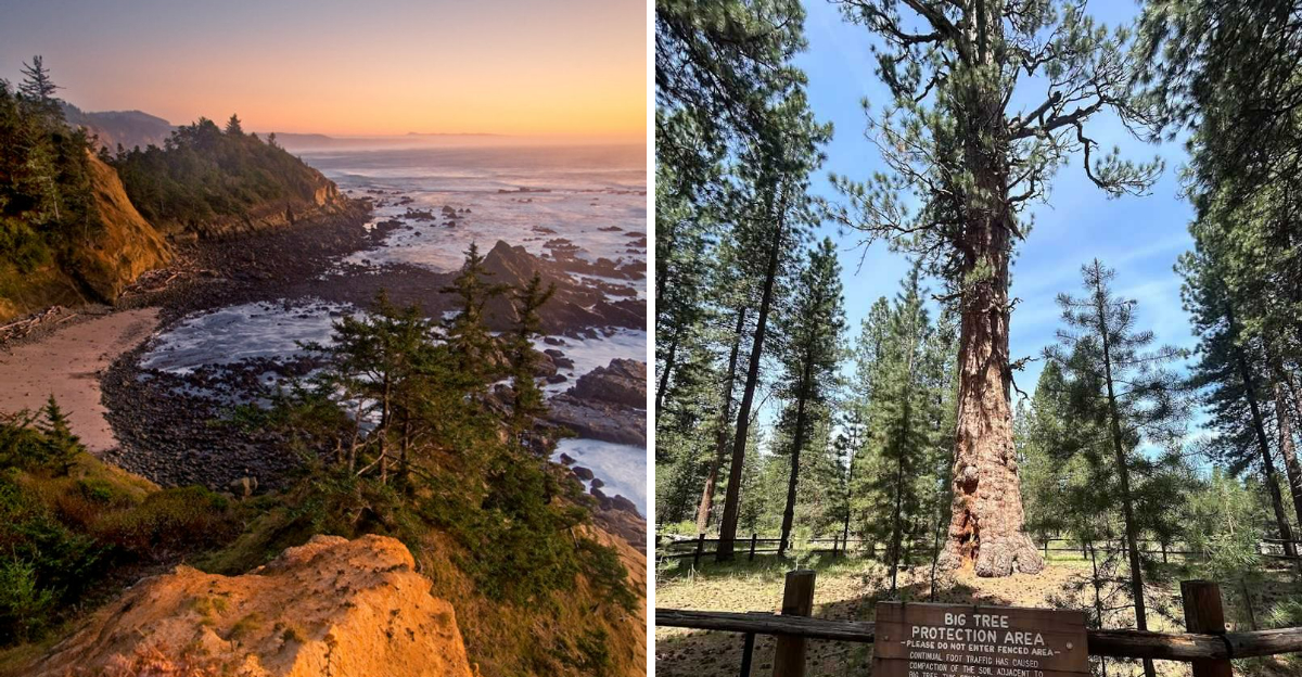11 Picturesque Oregon State Parks With Scenery That Feels Larger Than Life - Decor Hint