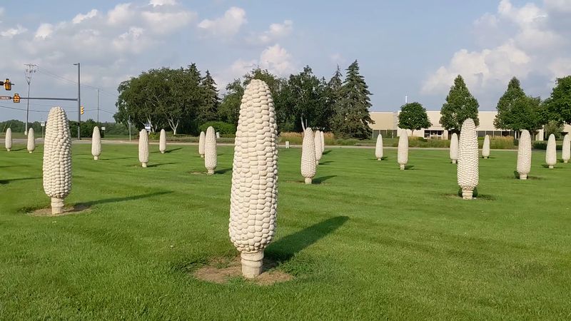 Field Of Corn (Cornhenge), Dublin