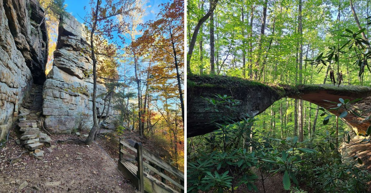 11 Tennessee State Parks That Are Almost Too Beautiful To Believe - Decor Hint