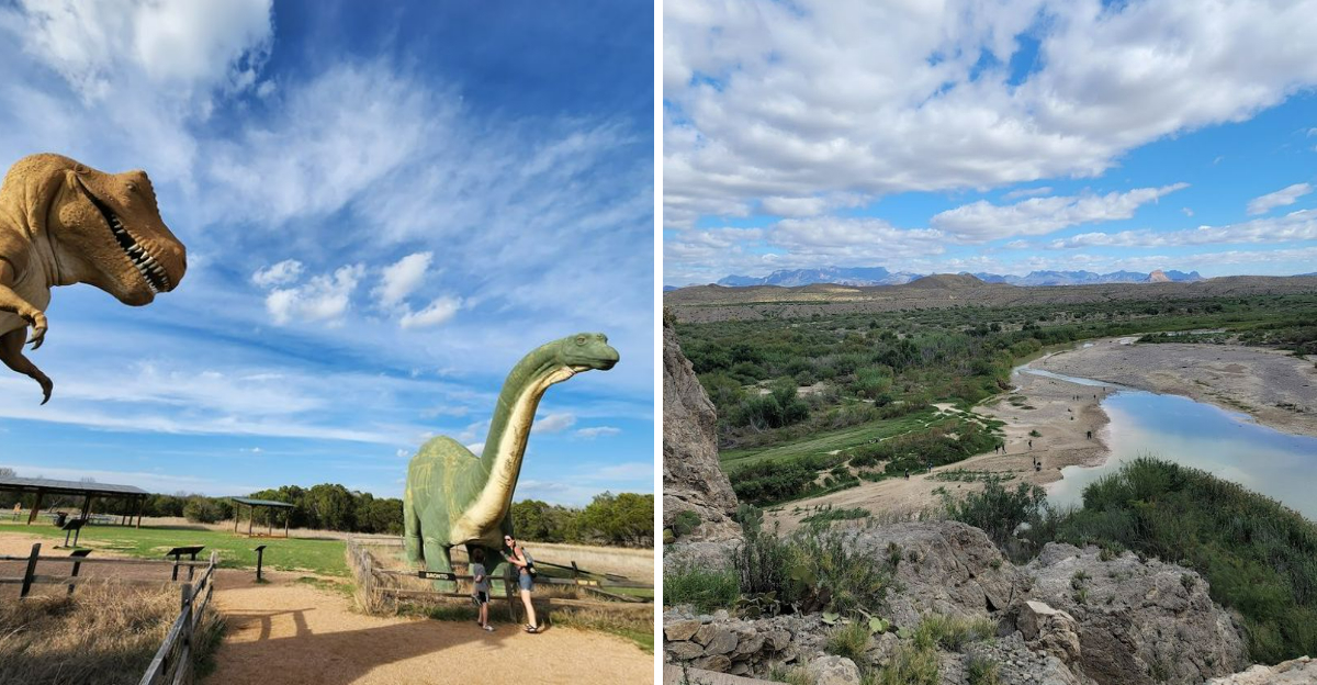 11 Unique Things To Do In Texas At Least Once In Your Lifetime - Decor Hint