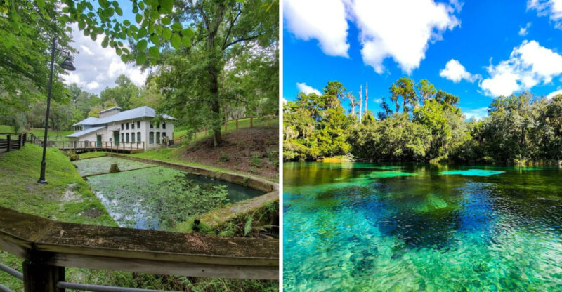 12 Affordable Florida Day Trips That Deliver Big Experiences On A Budget