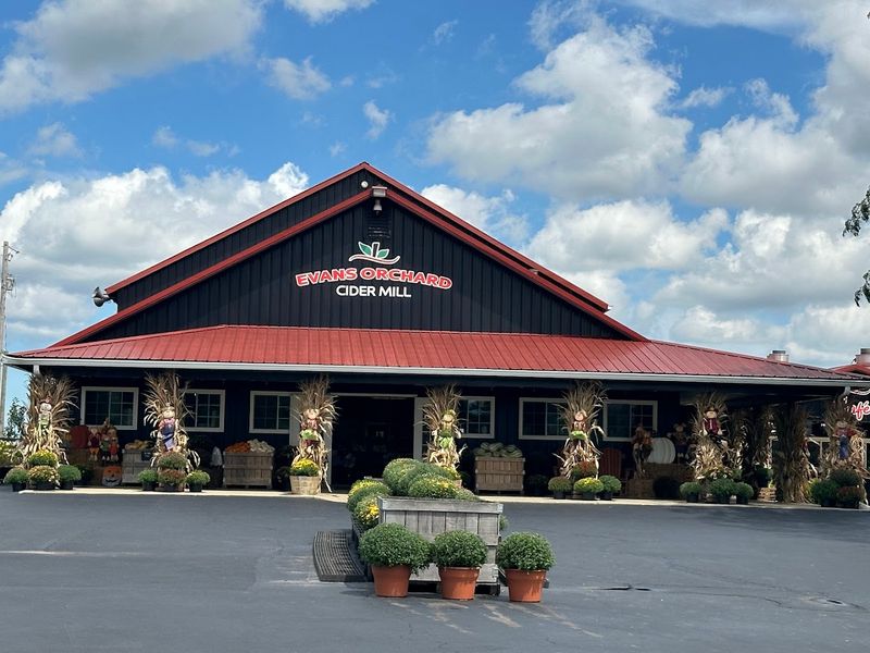 Evans Orchard And Cider Mill