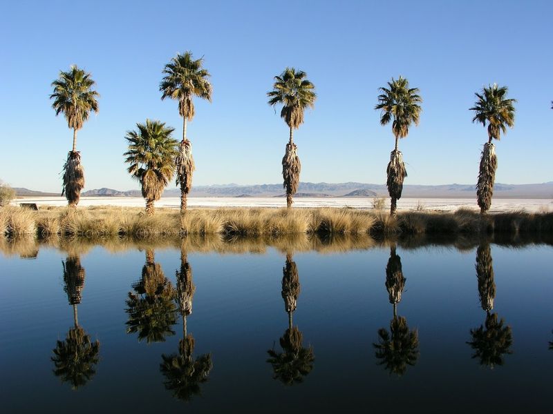 12 California Places With Names So Unusual They Already Sound Worth Visiting - Decor Hint Zzyzx, San Bernardino County