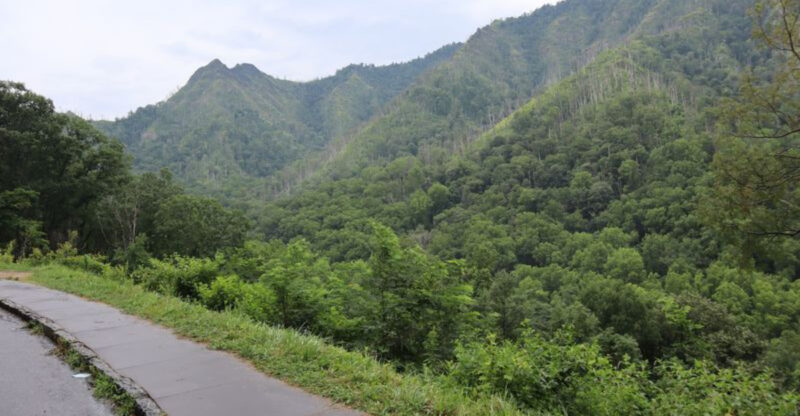12 North Carolina Weekend Drives With Great Views And Even Better Food
