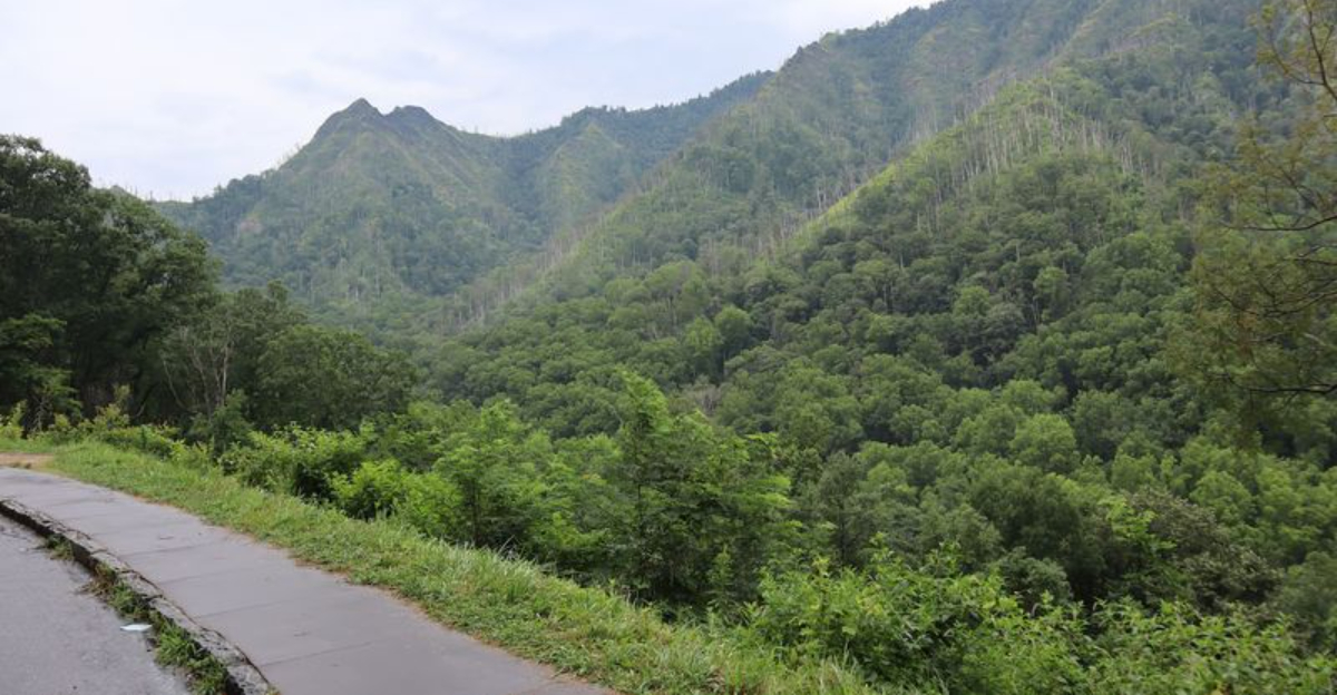 12 North Carolina Weekend Drives With Great Views And Even Better Food - Decor Hint