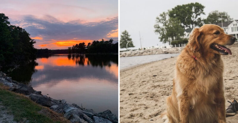 12 Ohio Beaches Where Dogs Can Run, Splash, And Burn Off Energy