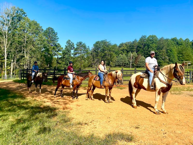 13 Family-Friendly Horseback Riding Ranches Across Georgia That Make A Weekend Feel More Adventurous - Decor Hint Appalachian Trail Rides