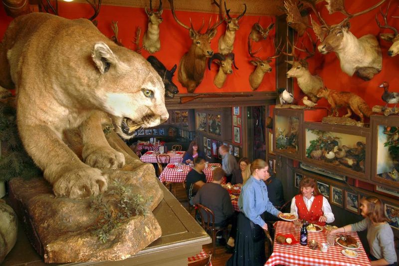 13 Unique Colorado Eateries That Offer More Than Just Great Food - Decor Hint Buckhorn Exchange