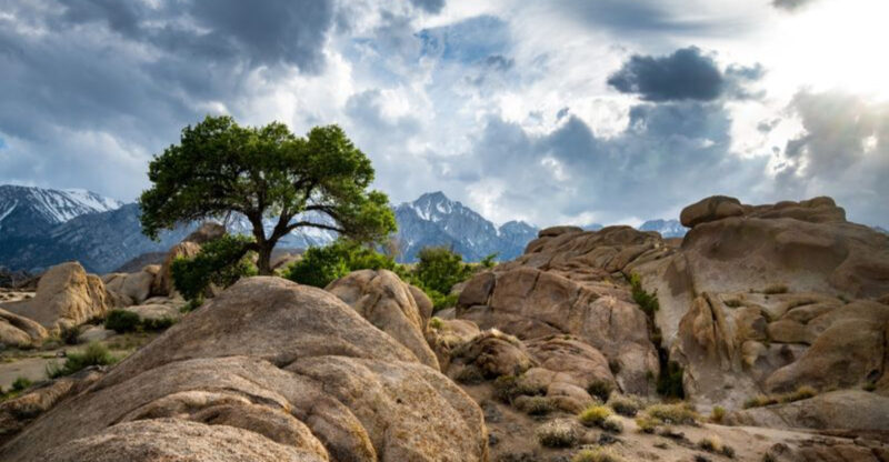 14 California Places Where The Scenery Feels Edited Even When It Is Not