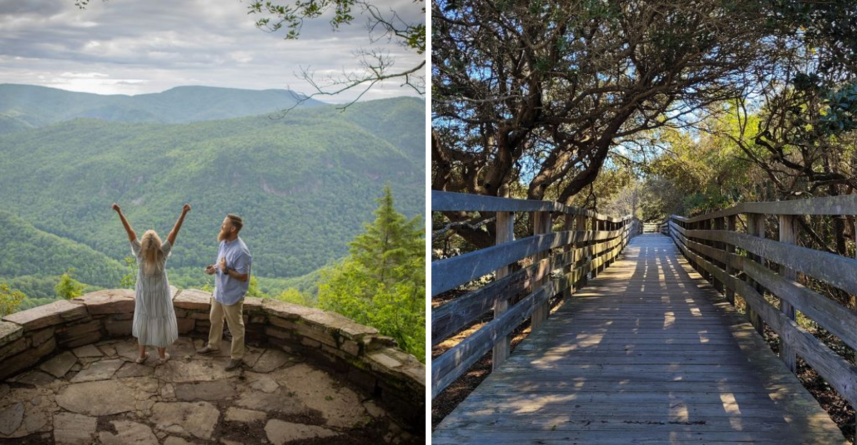 14 North Carolina Short Walks That End With Views Worth Pausing For - Decor Hint