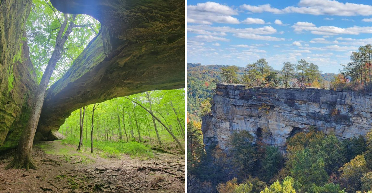 14 Quiet Hiking Trails Throughout Kentucky Tourists Rarely Discover - Decor Hint