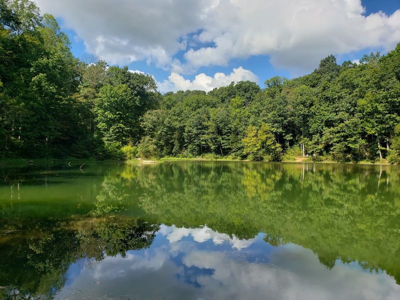 Saunders Springs Nature Preserve