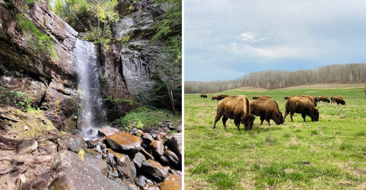 15 Peaceful Kentucky Destinations To Try In June Instead Of Crowded Tourist Spots - Decor Hint