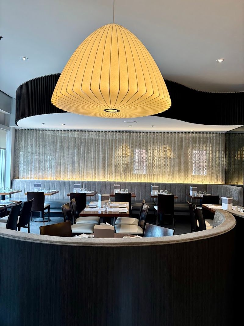 Olea, New Haven